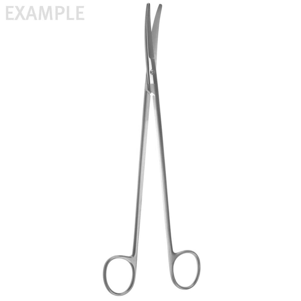 12" Willauer Scissors - straight