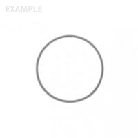 Flieringa Scleral Fixation Rings - 12mm