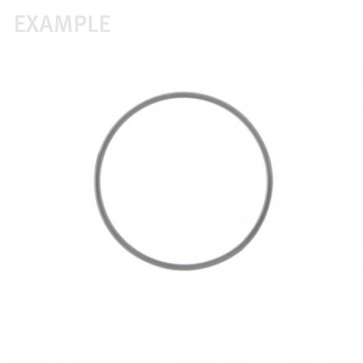 Flieringa Scleral Fixation Rings - 15mm